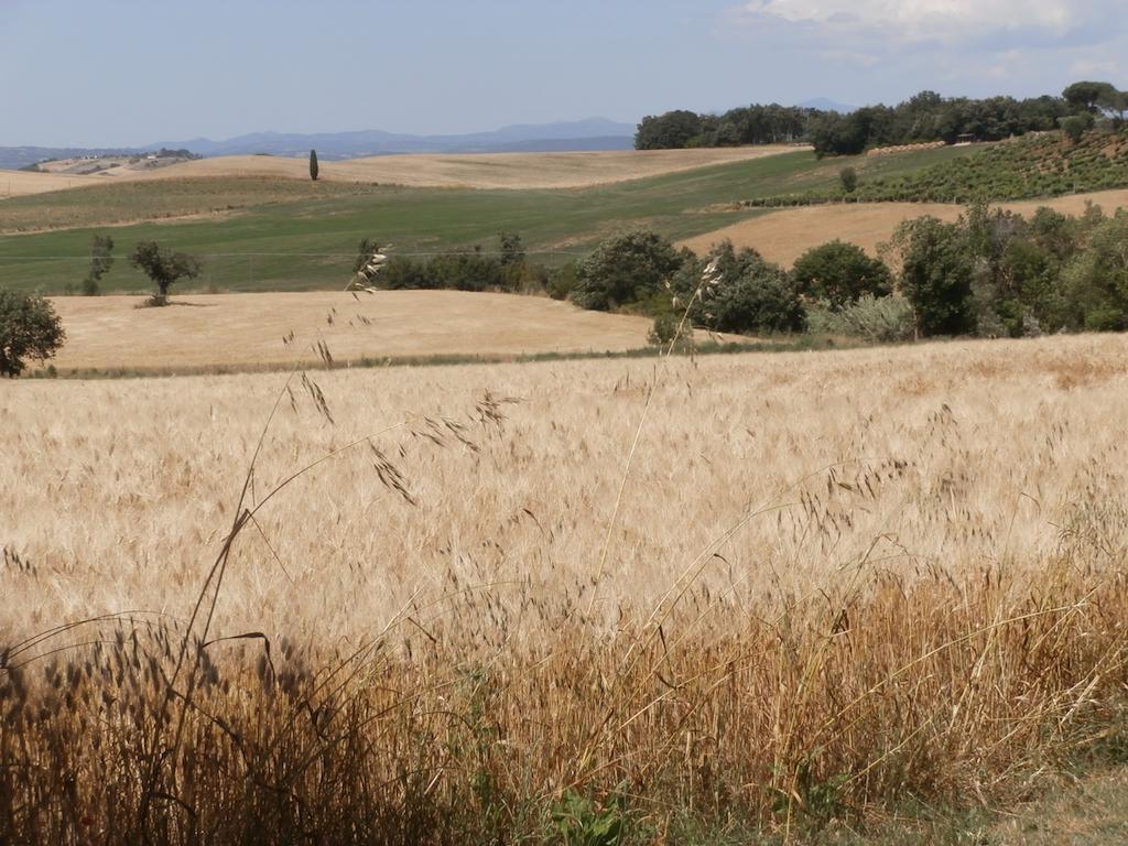 فيلا ماليانو إن توسكانافي Agriturismo Poggio Sassineri المظهر الخارجي الصورة