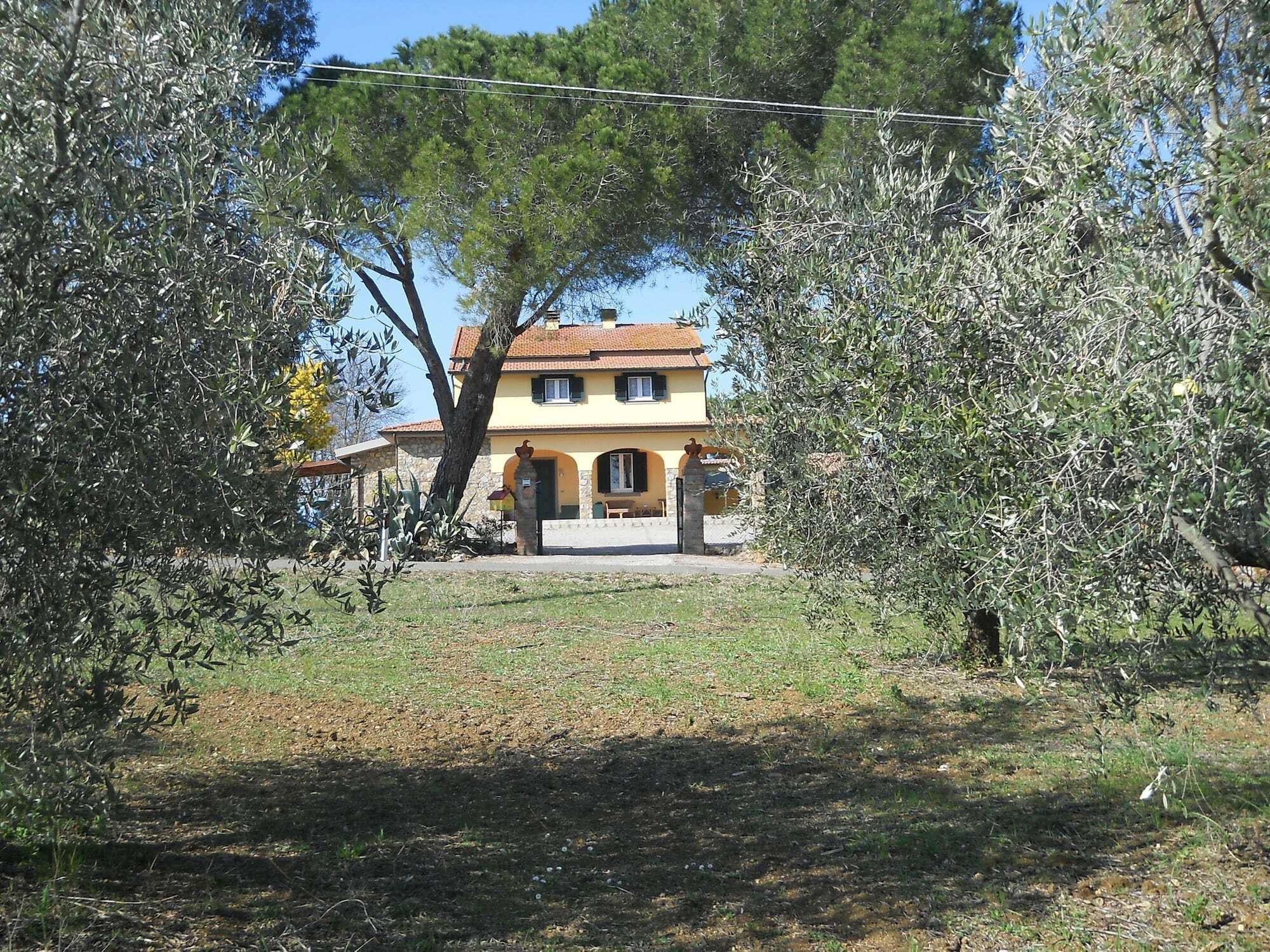 فيلا ماليانو إن توسكانافي Agriturismo Poggio Sassineri المظهر الخارجي الصورة